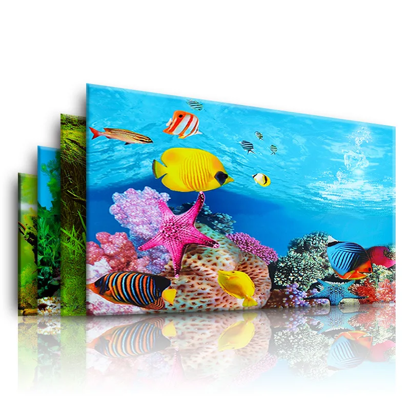 Aquarium Fish For Sale Online - Achtergrond voor aquarium 3d sticker poster