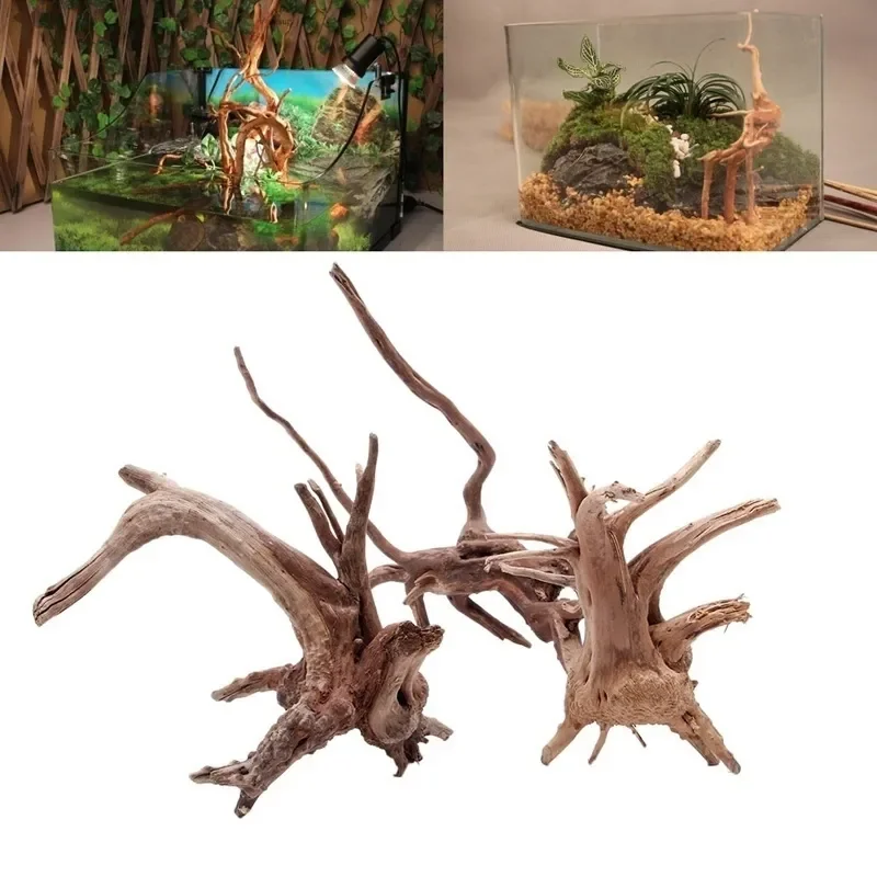 Aquarium Fish For Sale Online - Natuurlijke Boomstam Drijfhout Aquarium Aquarium Reptiel