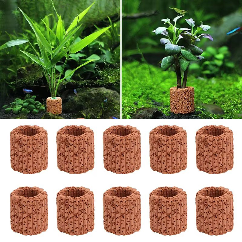 Aquarium Fish For Sale Online - Aquatische Plant Vaste Ring voor Aquarium