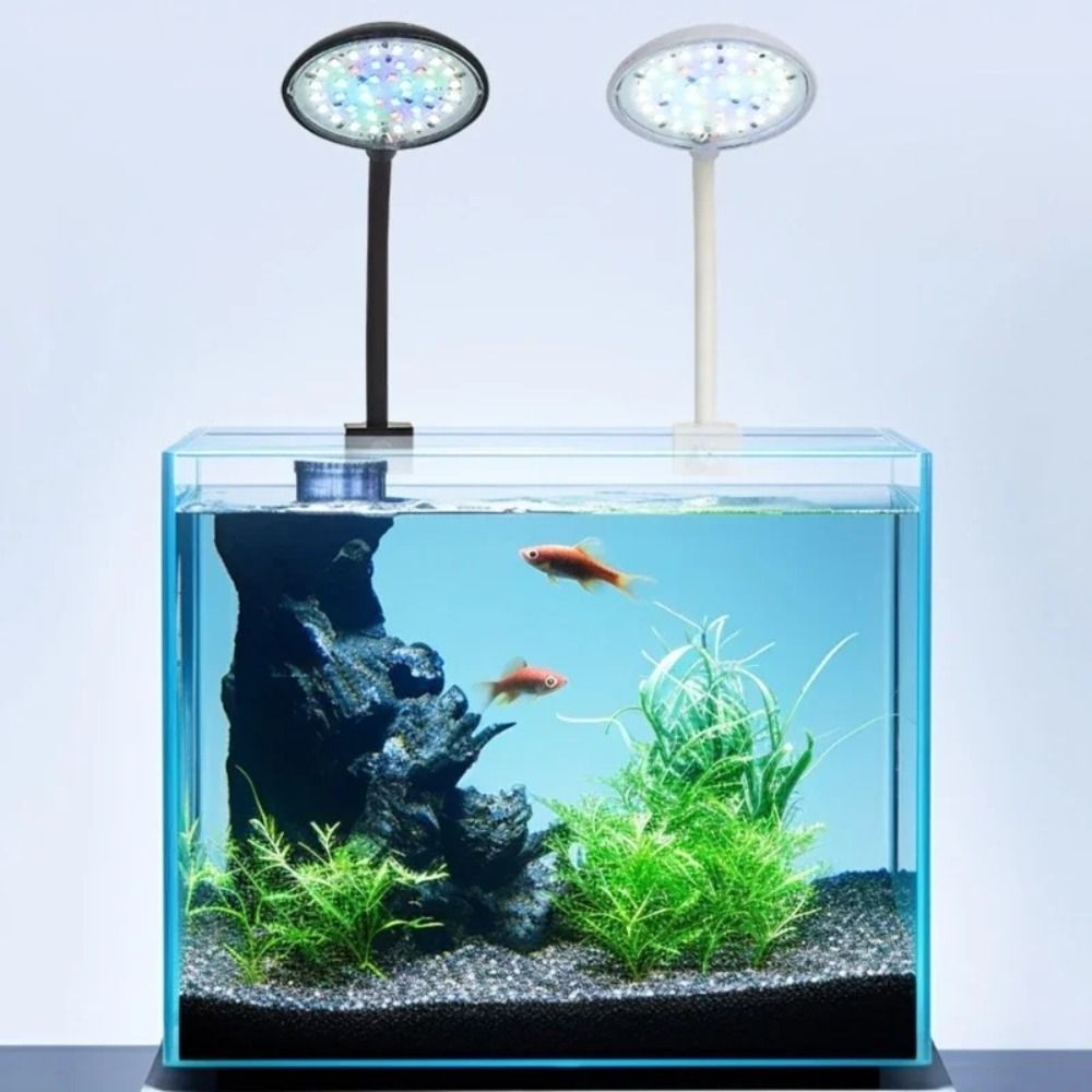 Aquarium Fish Live - Mini Aquarium Clip Lamp 360-Graden Rotatie
