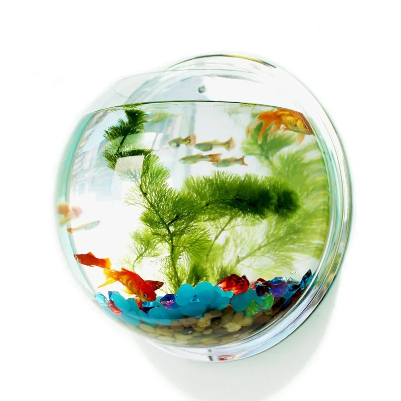 Aquarium Fish In Bowl - Pinsjar Acryl Viskom Muuropknoping Aquarium Tank