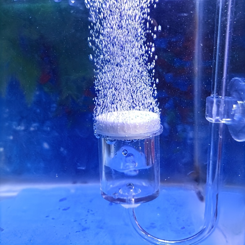Aquarium Fish Quarantine - Aquarium Glas CO2 Verstuiver Diffuser Bubble