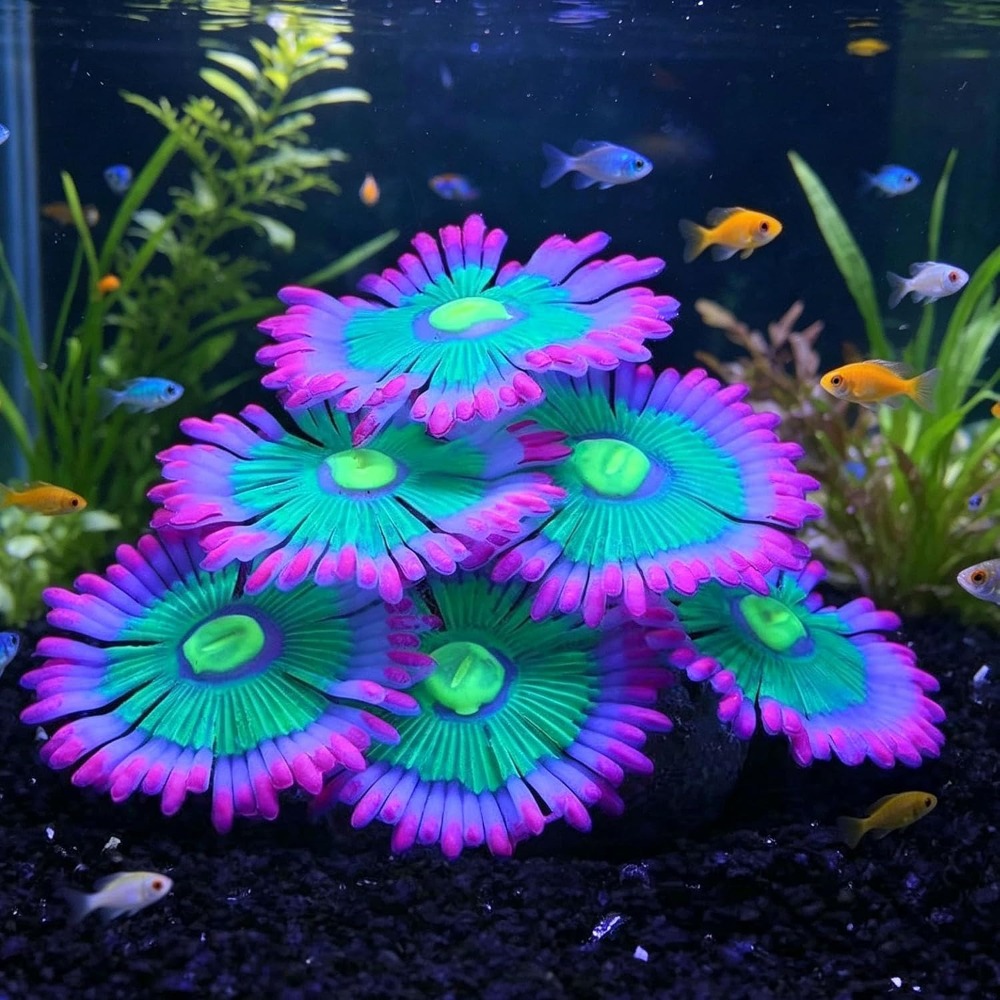 Aquarium Fish For Sale Online - Gloeiende zachte aquariumdecoraties van siliconen, kunstmatige
