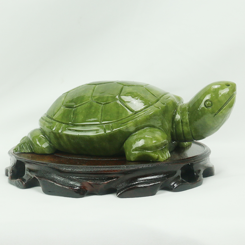 Natuurlijke Jade/schildpad Scu - Aquarium Fish For Sale Online recensie en prijs