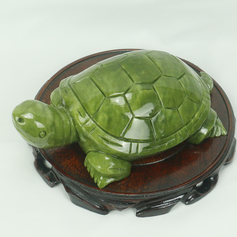 Natuurlijke Jade/schildpad Scu - Aquarium Fish For Sale Online recensie en prijs