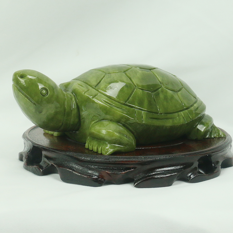Natuurlijke Jade/schildpad Scu - Aquarium Fish For Sale Online recensie en prijs
