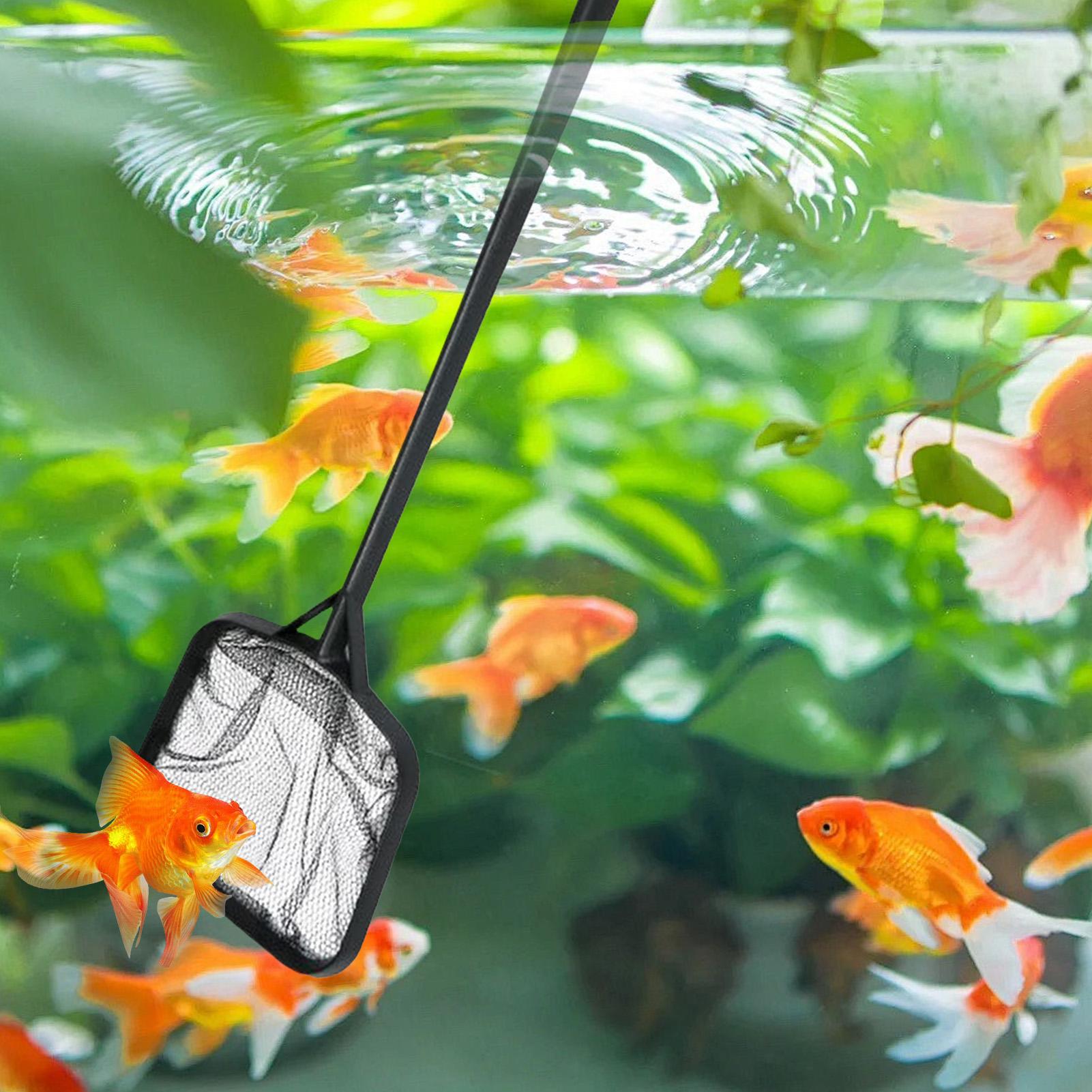 Zwembadnetten voor het reinige - Aquarium Fish House recensie en prijs