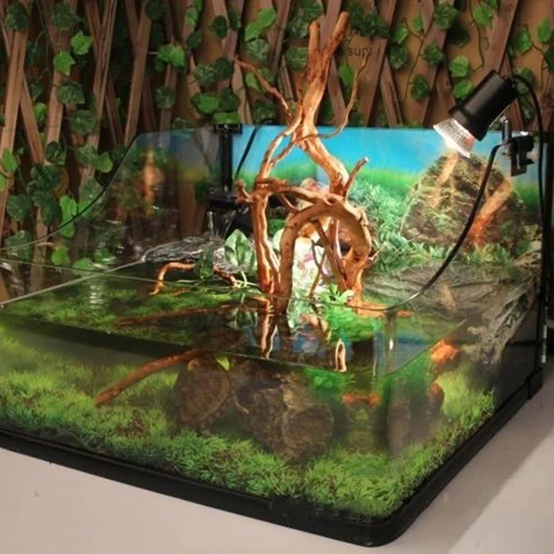 Natuurlijke Boomstam Drijfhout - Aquarium Fish For Sale Online recensie en prijs