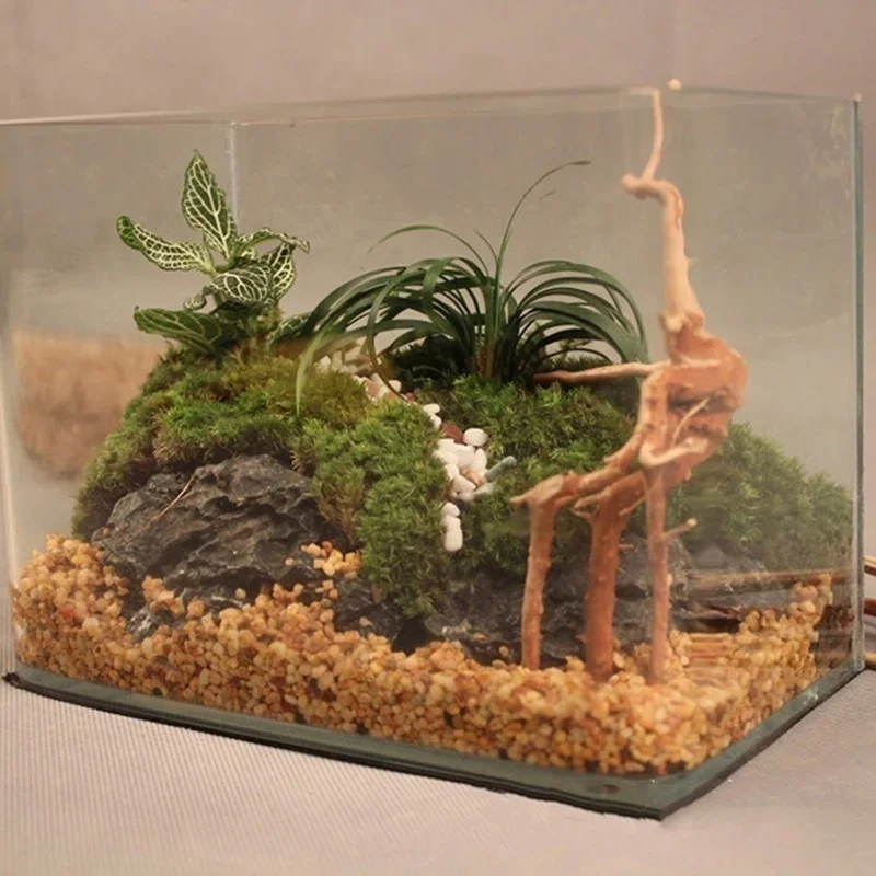 Natuurlijke Boomstam Drijfhout - Aquarium Fish For Sale Online recensie en prijs