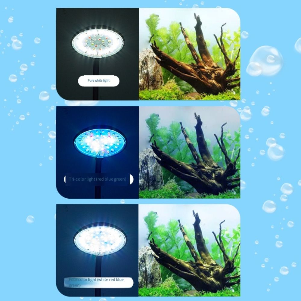 Mini Aquarium Clip Lamp 360-Gr - Aquarium Fish Live recensie en prijs
