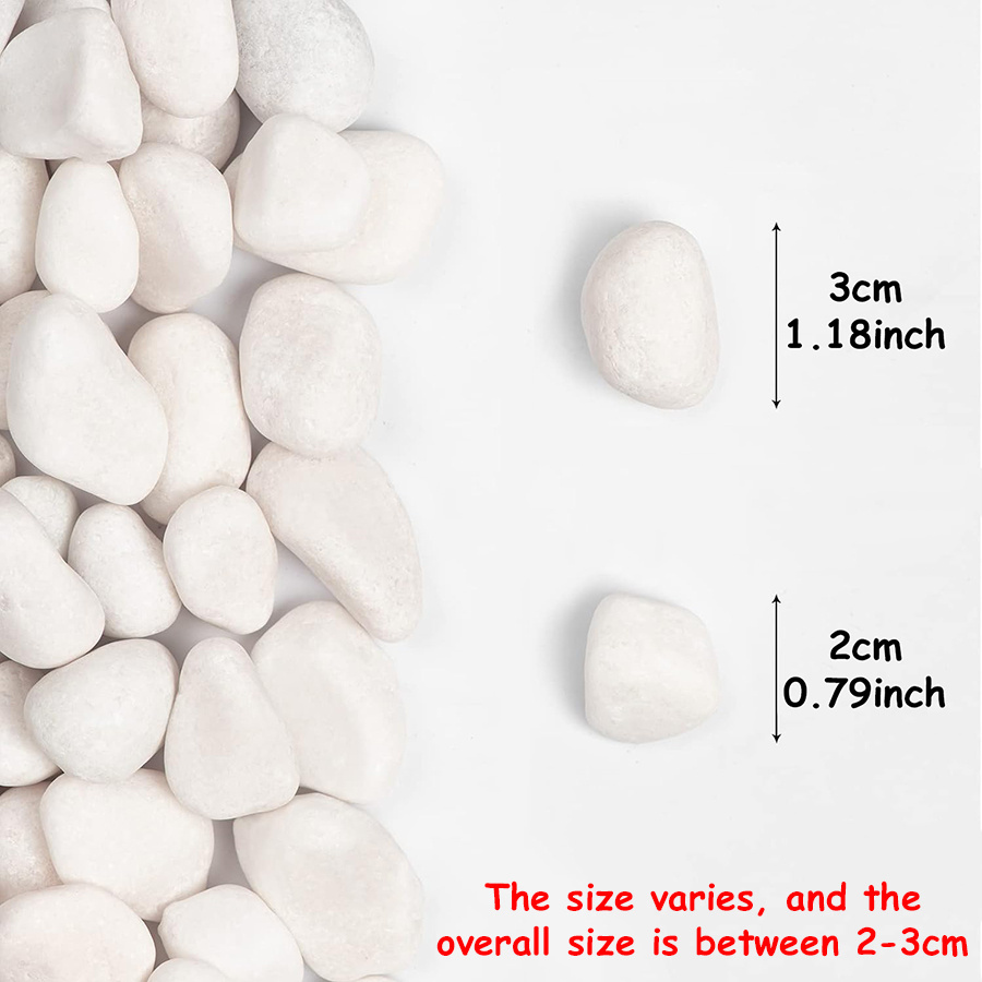 200/400g Witte Hooggepolijste  - Fish Aquarium Home recensie en prijs