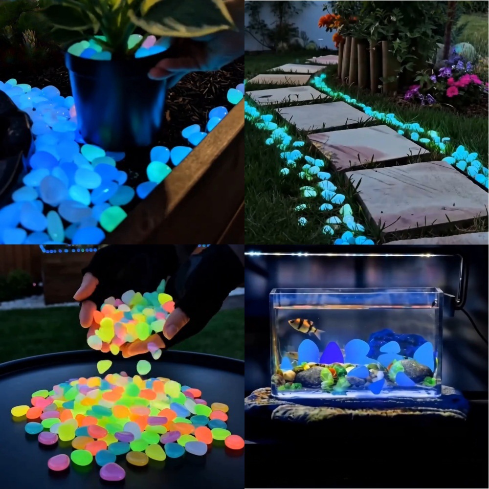 Kleurrijke, in het donker gloe - Aquarium Fish Colorful recensie en prijs