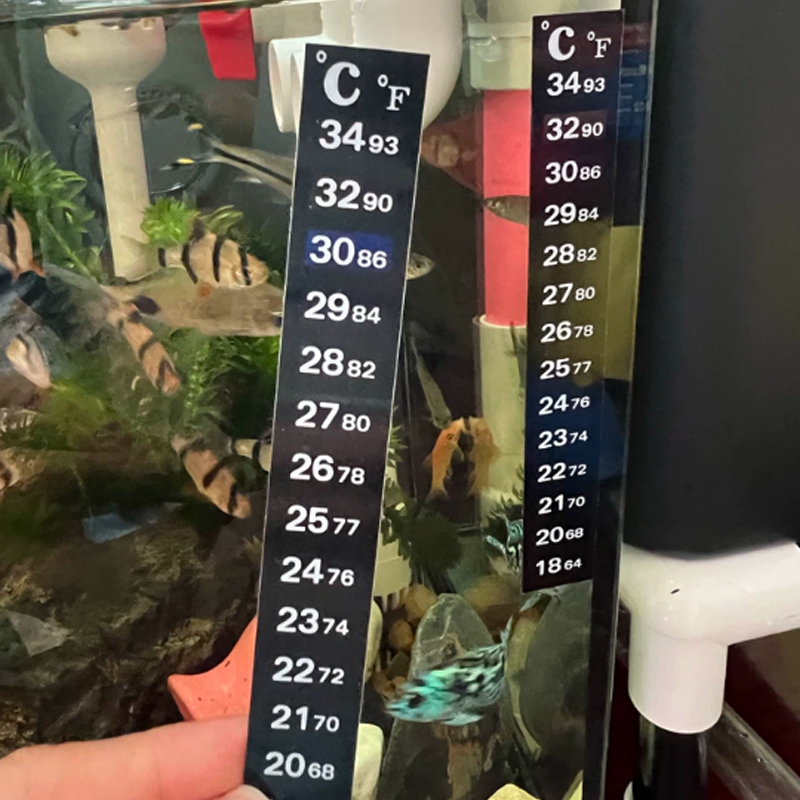 1/5 STUKS Hoge-Precisie Thermo - Aquarium Fish Colorful recensie en prijs