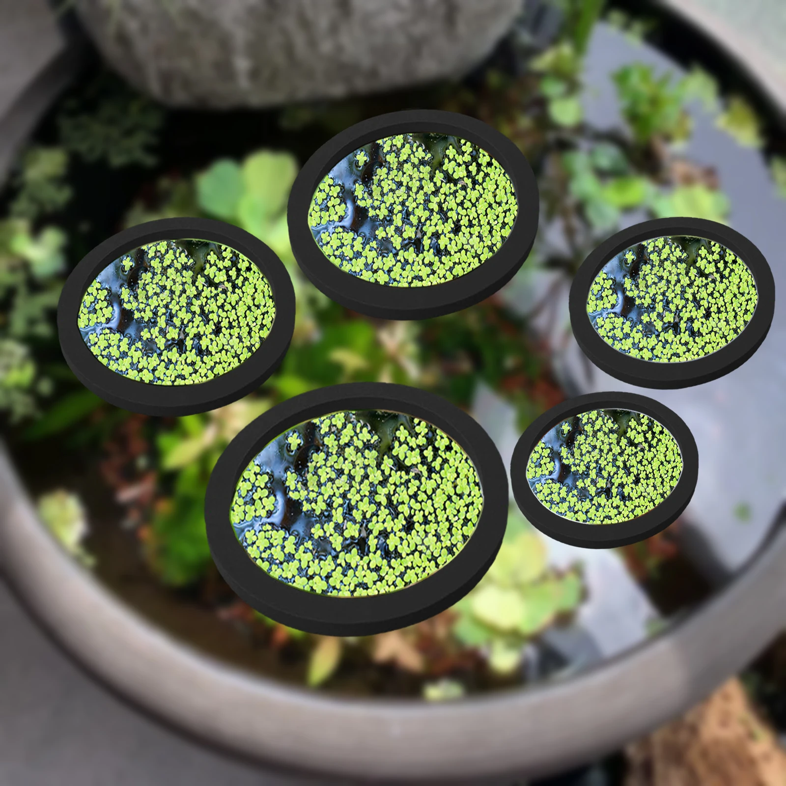 5 stks EVA Vis Voeden Ring Aqu - Aquarium Fish House recensie en prijs