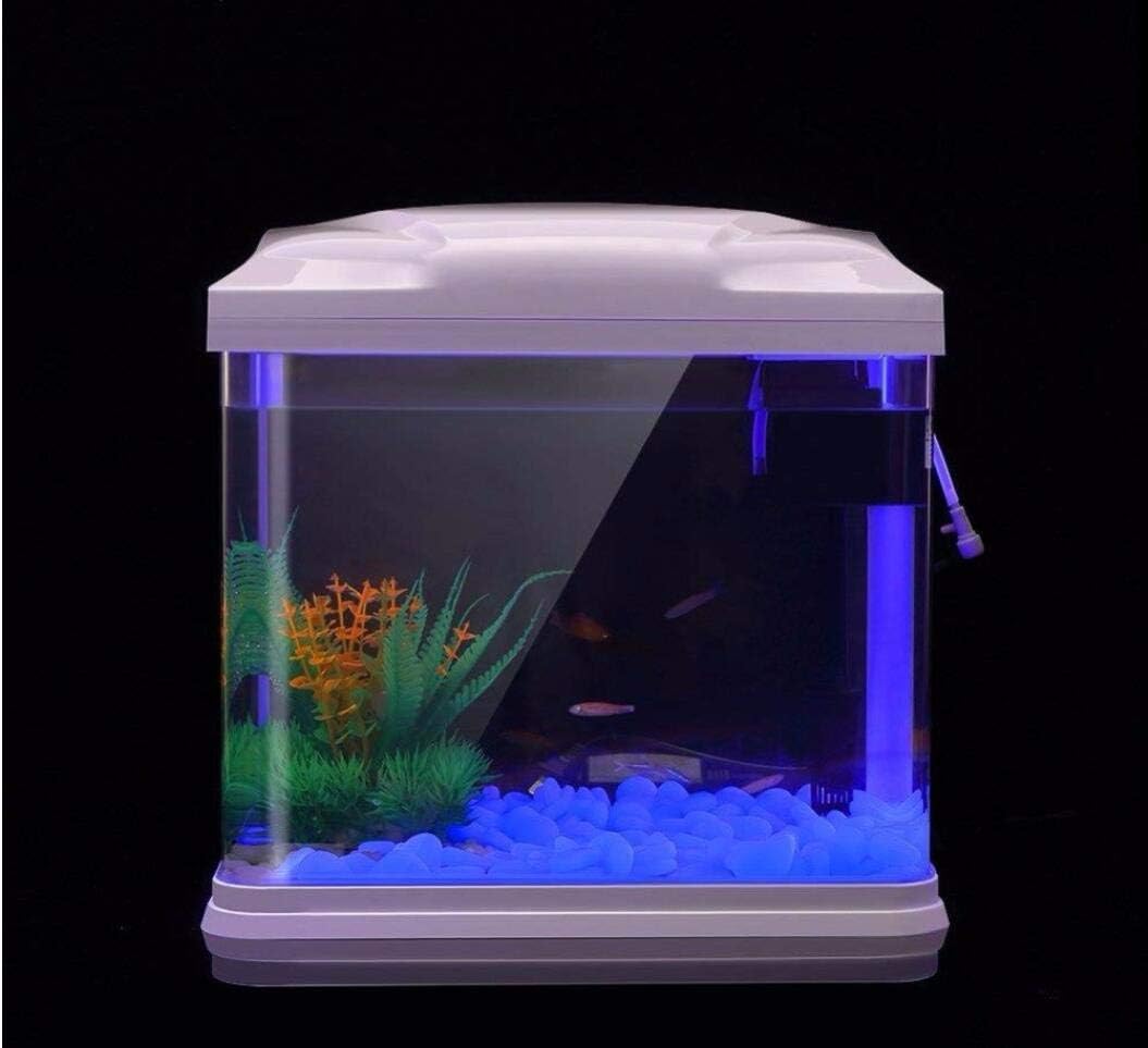 Aquarium Rotsen Glow Blue Kiez - Aquarium Fish House recensie en prijs