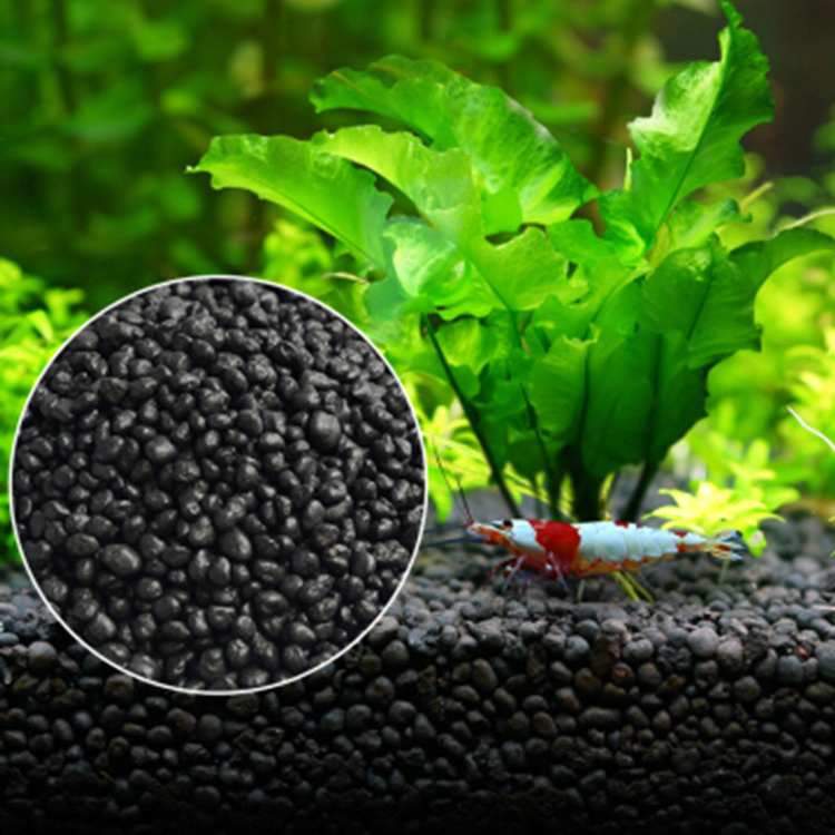 Aquarium Plant Zaden Bodem Fis - Aquarium Fish Quarantine recensie en prijs