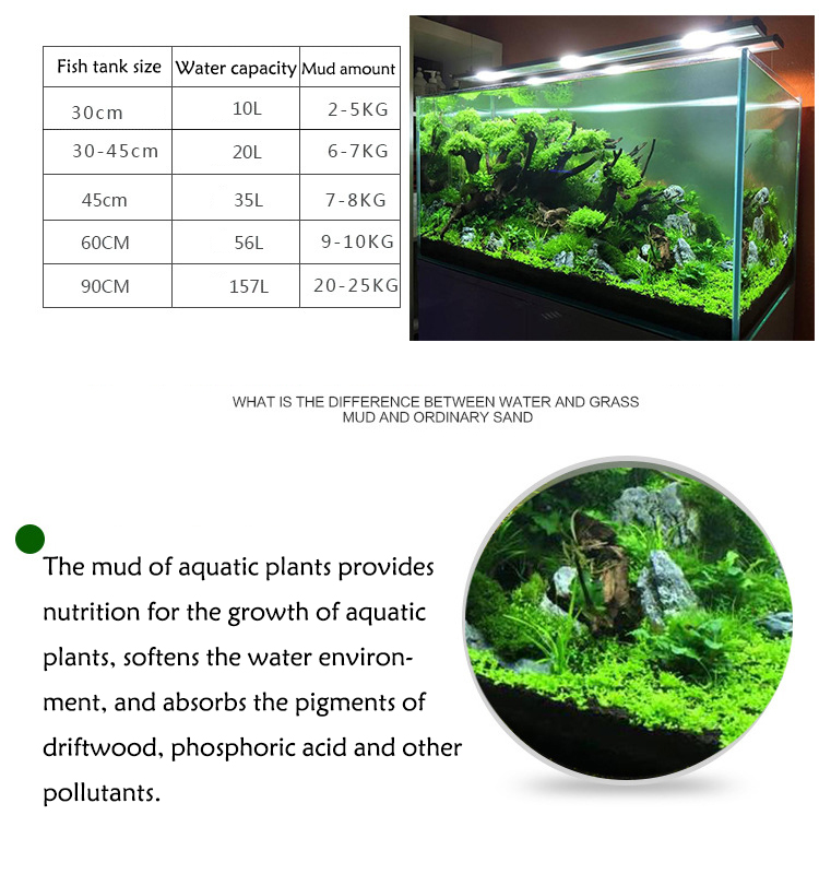 Aquarium Plant Zaden Bodem Fis - Aquarium Fish Quarantine recensie en prijs