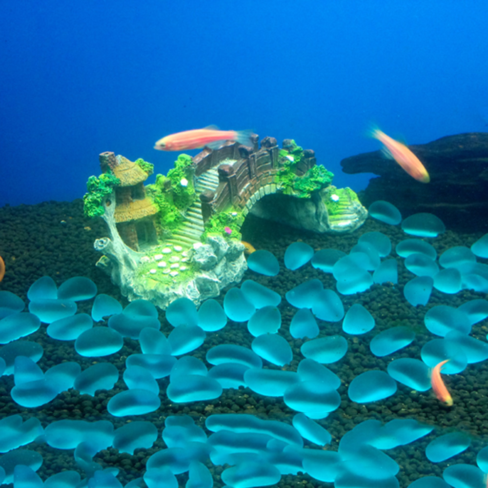 Aquarium Accessoires Prieel Bo - Aquarium Fish For Sale Online recensie en prijs