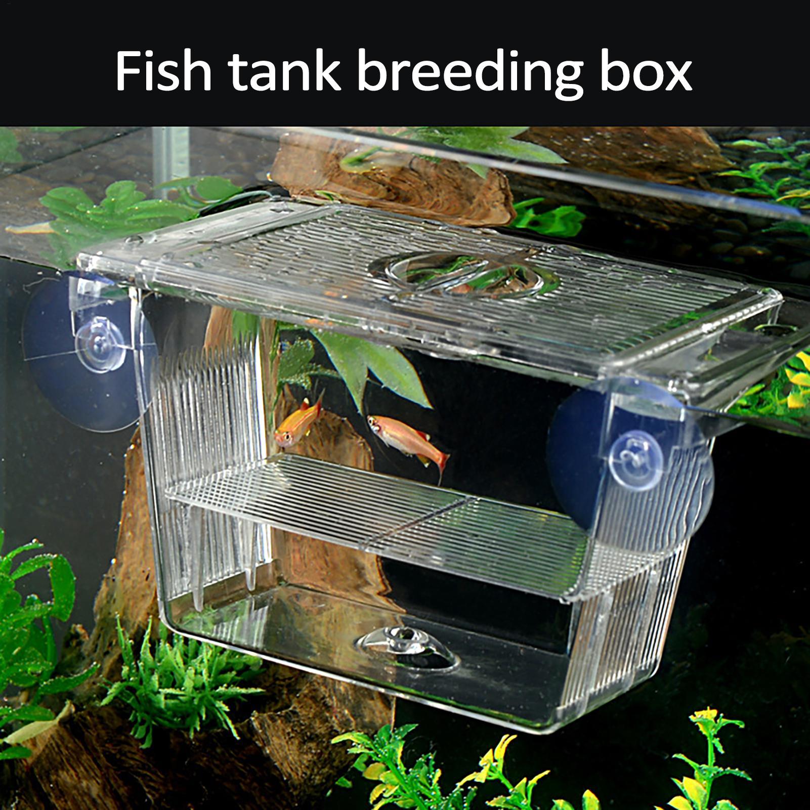Kweekbak voor aquarium, transp - Aquarium Fish In Bowl recensie en prijs