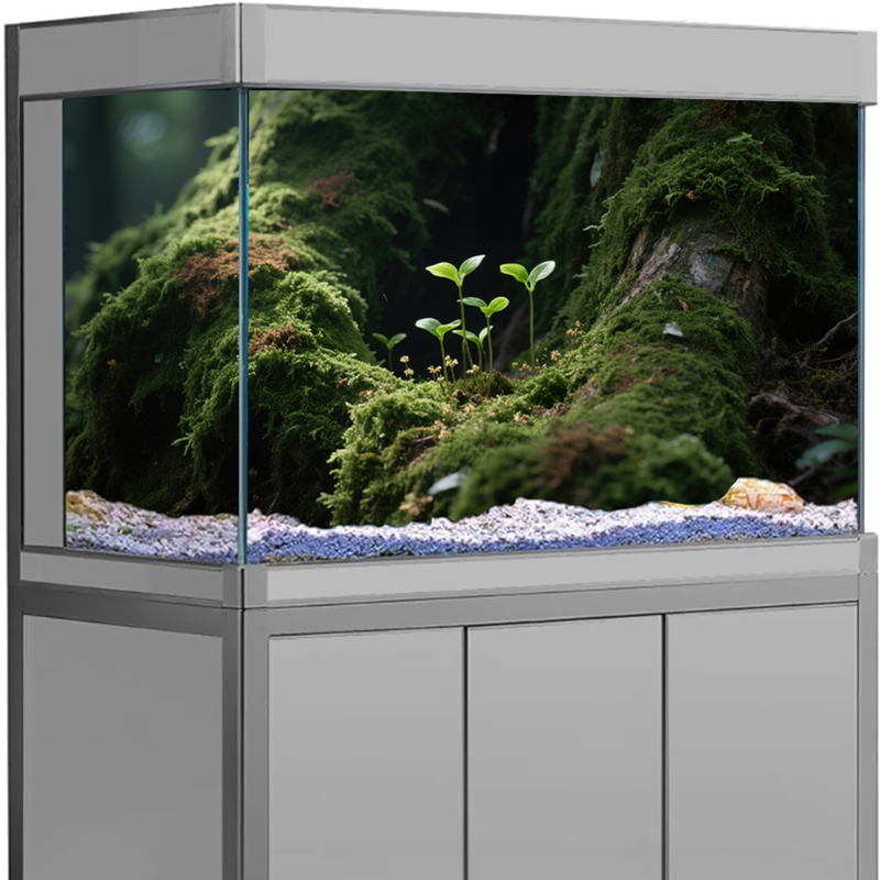 Visbakdecoratie Aquarium Achte - Aquarium Fish For Sale Online recensie en prijs