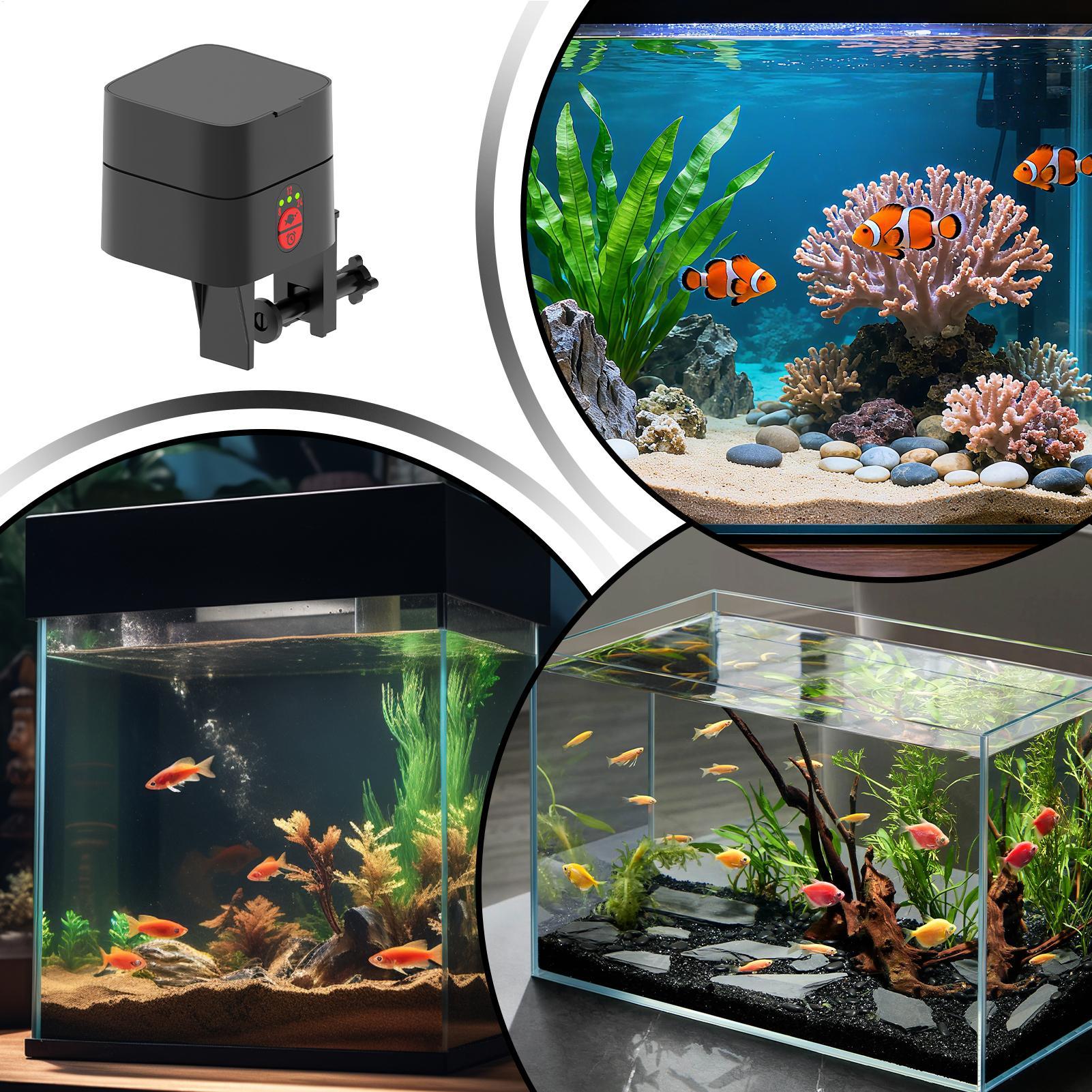 Automatische visvoederautomaat - Aquarium Fish In Bowl recensie en prijs