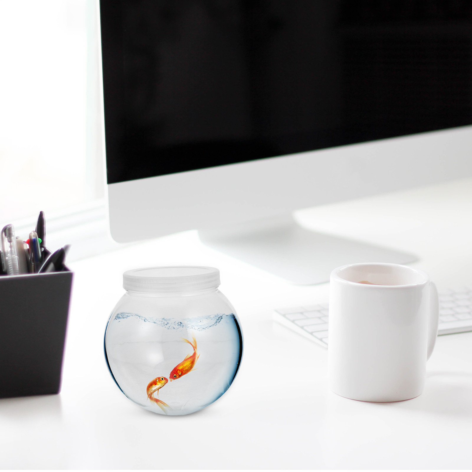 Kleine bureauvissenkom, transp - Aquarium Fish In Bowl recensie en prijs