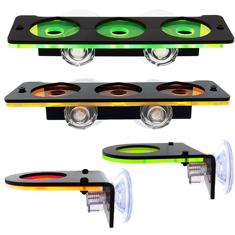 Fluorescerend Koraal Frag Plug - Aquarium Fish For Sale Online recensie en prijs
