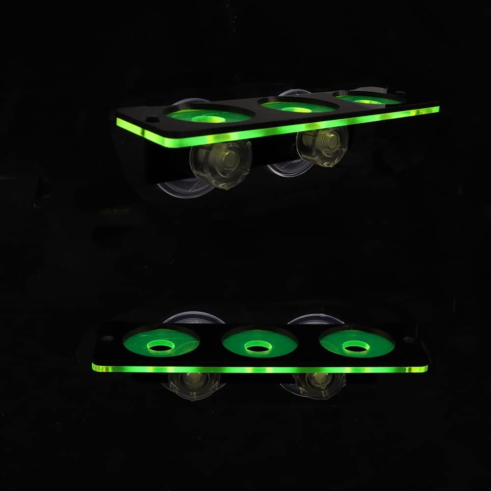 Fluorescerend Koraal Frag Plug - Aquarium Fish For Sale Online recensie en prijs