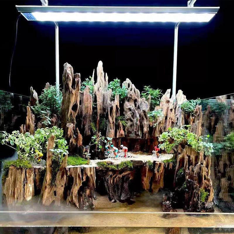 △   Garnalenhout aquariumdecor - Aquarium Fish For Sale Online recensie en prijs