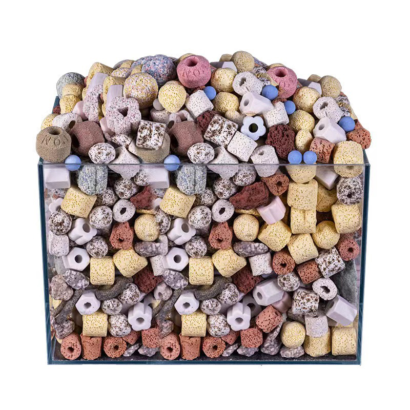 250g 500g 1000g 14 Soorten Aqu - Aquarium Fish For Sale Online recensie en prijs